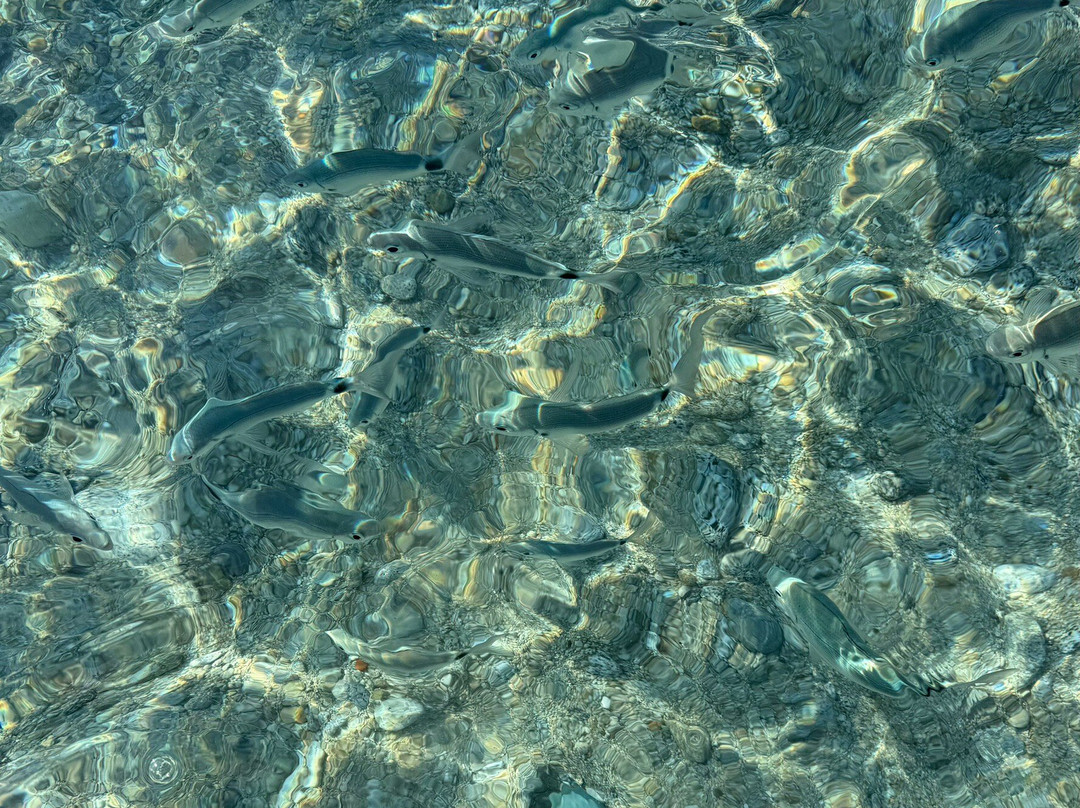 Costa degli Dei Resort主图