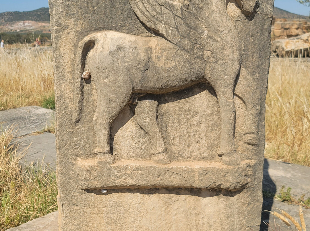 Thuburbo Majus-Zaghouan Governorate必去景点
