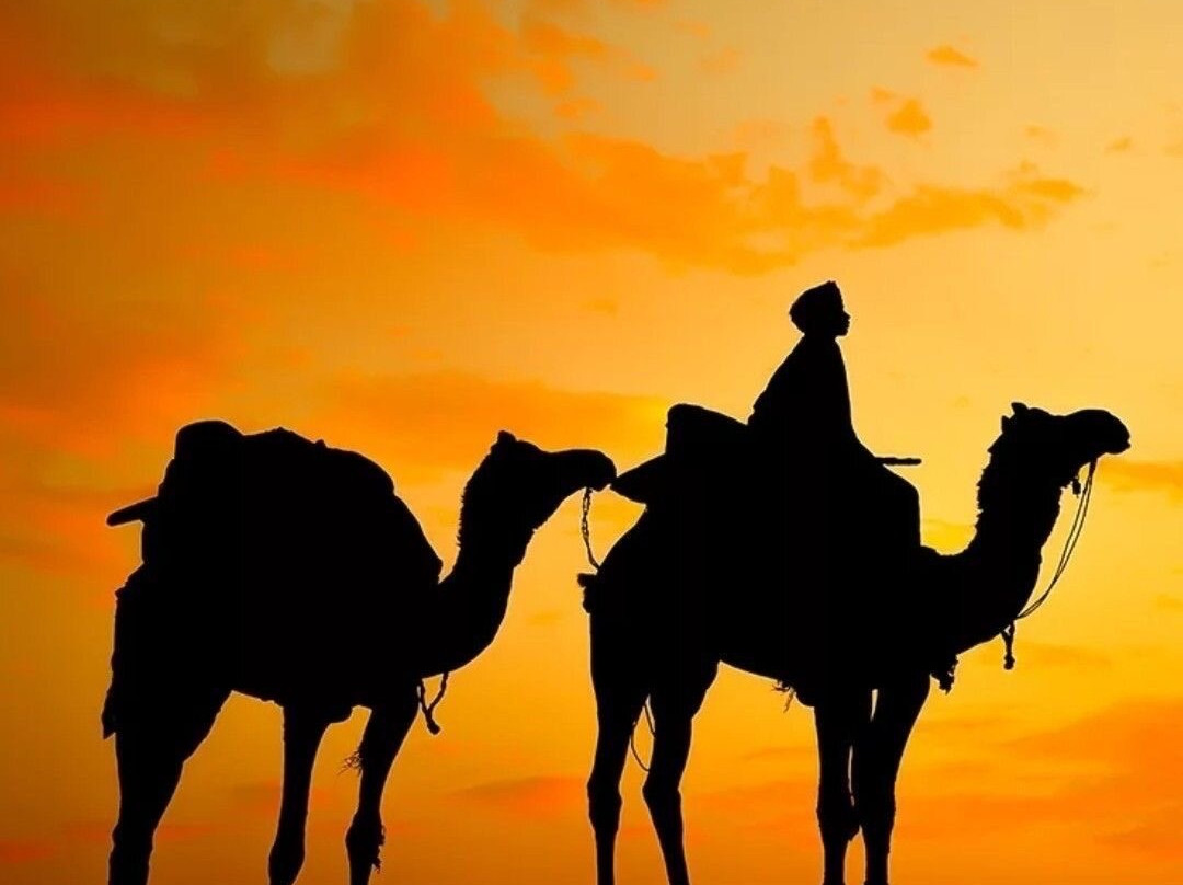 Travel Trekking Morocco-Saint-Sulpice-sur-Leze必去景点