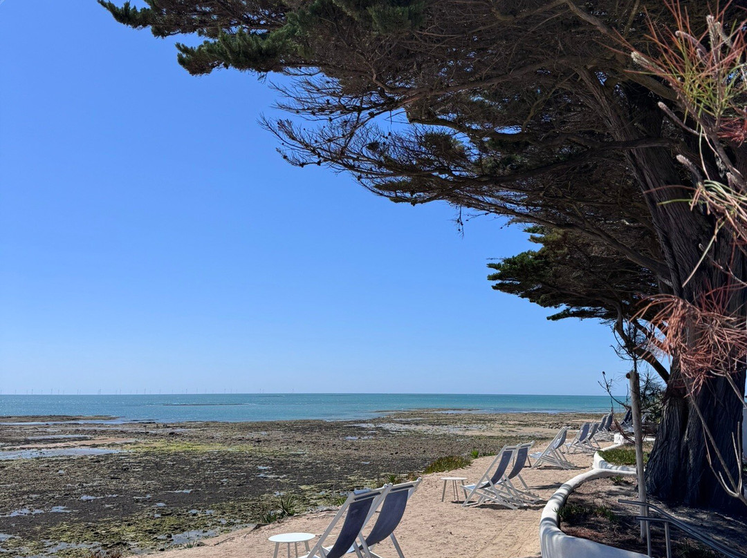 Hotel Punta Lara Noirmoutier主图