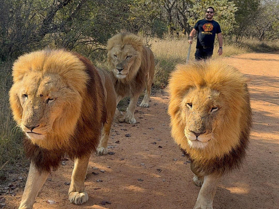 Wildside Tours and Safaris - Day Tours-约翰内斯堡必去景点