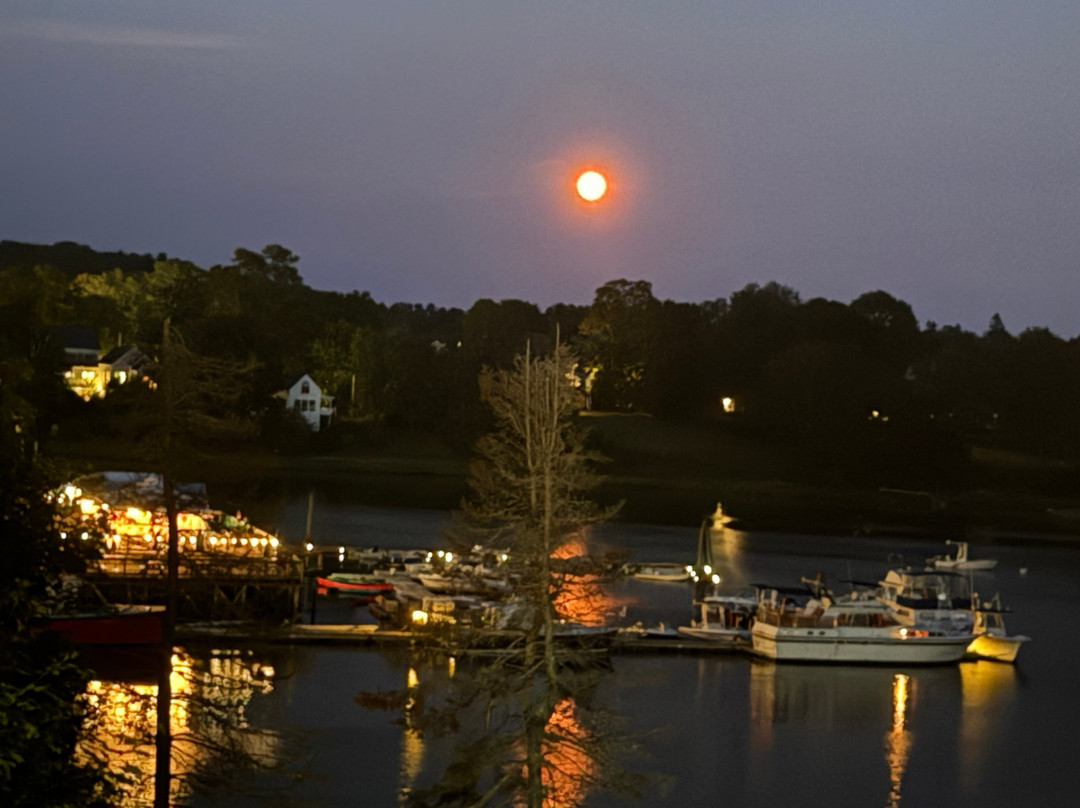 The River House