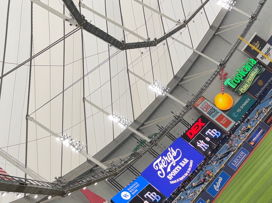 Tropicana Field-圣彼德斯堡必去景点
