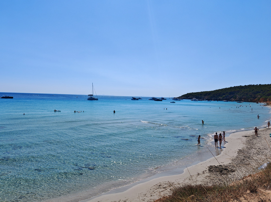 Playa Binigaus-Migjorn Gran必去景点