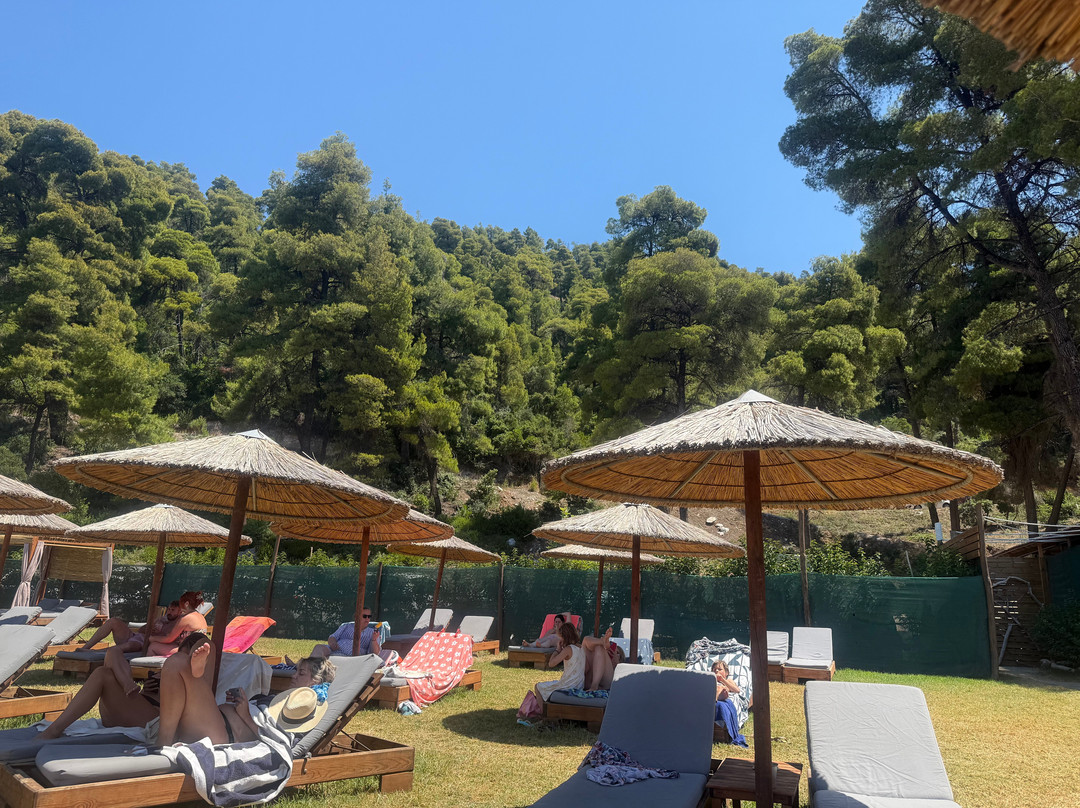 Ftelia Beach-Skopelos Town必去景点