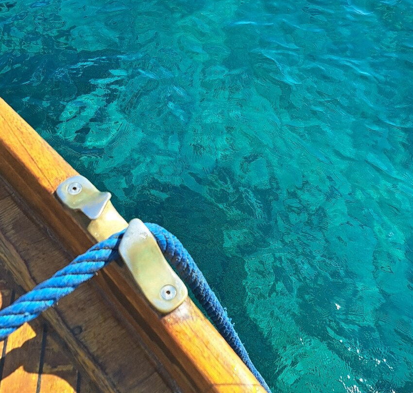 Asinara Charter Service-斯廷蒂诺必去景点