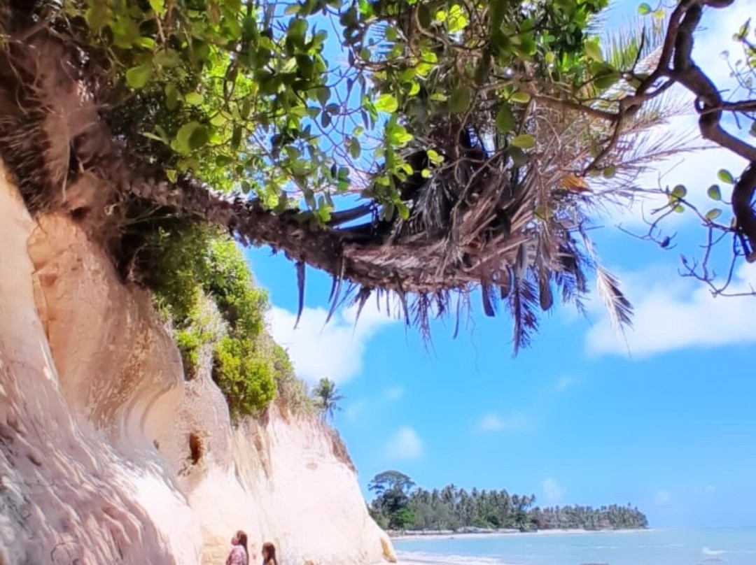 Praia Das Barreiras-Japaratinga必去景点