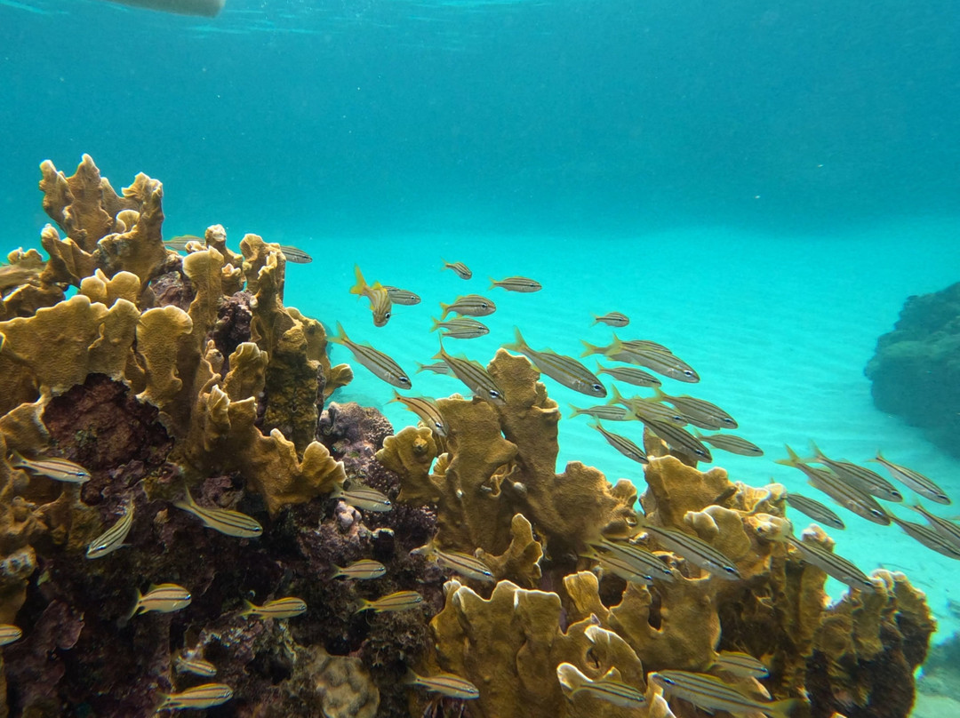 Tranquilo Bay Eco Adventure Lodge主图