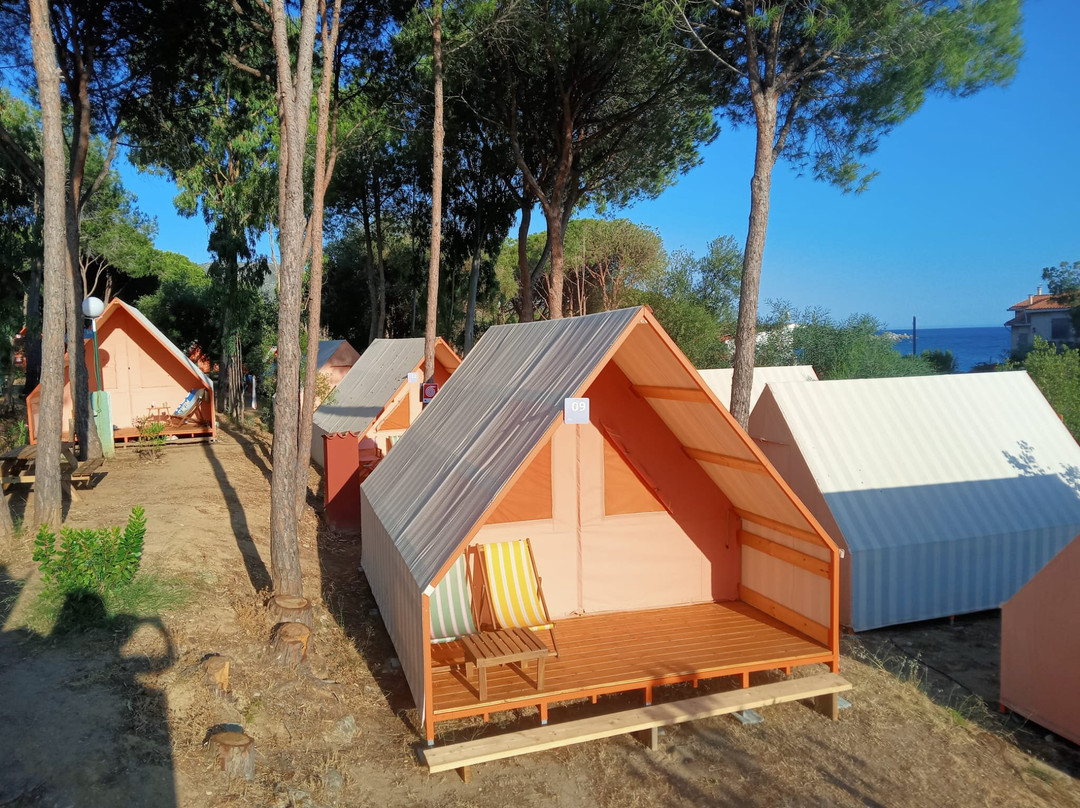 LAVITA Camp