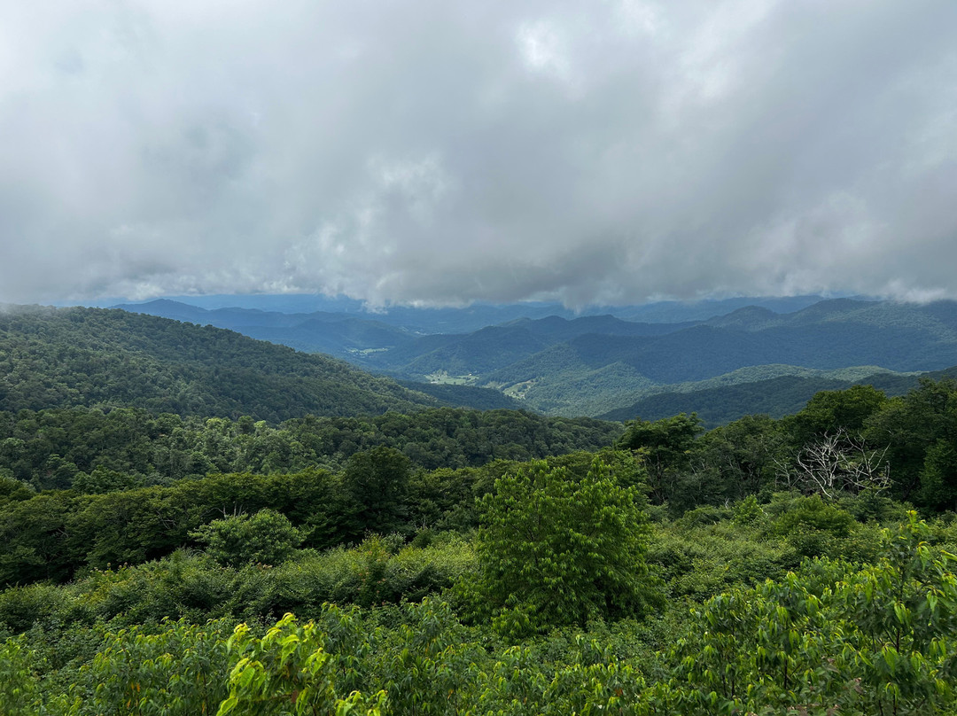 Mount Mitchell State Park-Burnsville必去景点