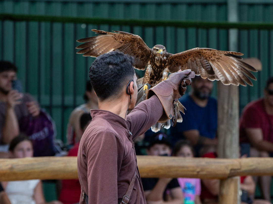 Foz Eco Park Zoo-伊瓜苏必去景点
