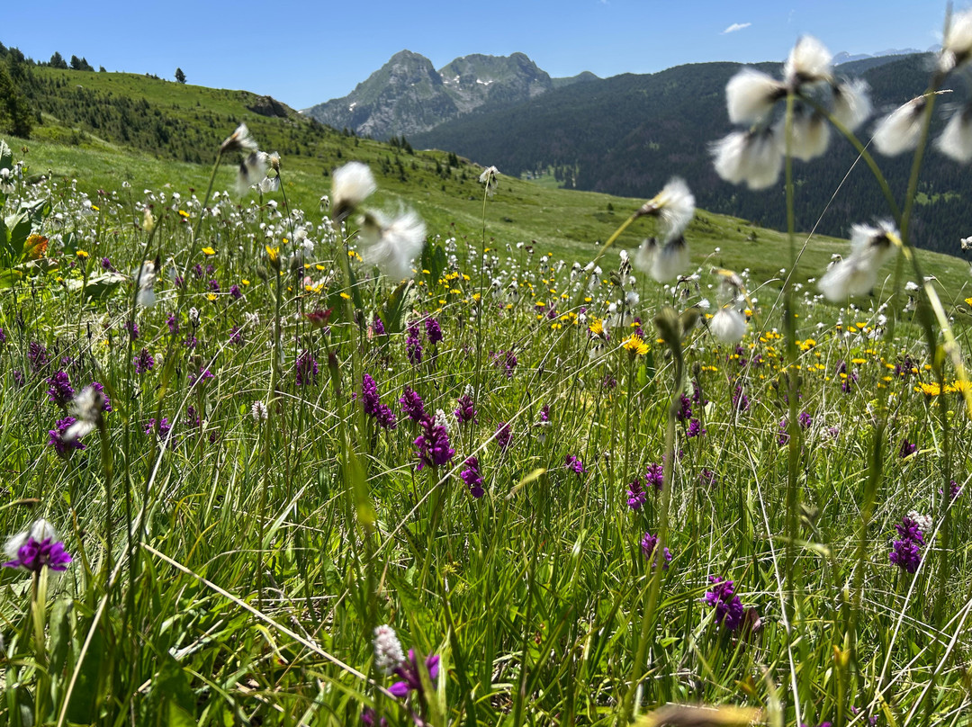 Balkan Natural Adventure-Pejë必去景点