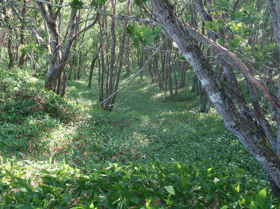 Kottaro Swamp Observatory-标茶町必去景点