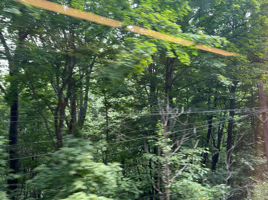 Virginia Scenic Railway-斯汤顿必去景点