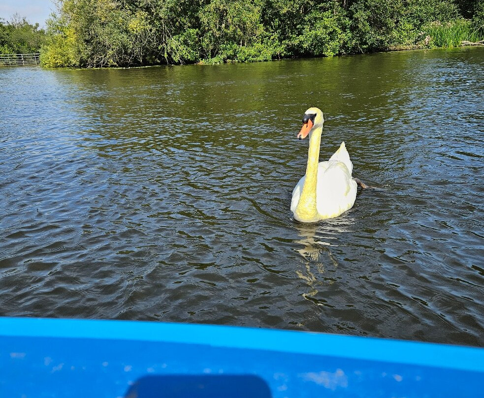 Norfolk Broads Direct-罗克瑟姆必去景点