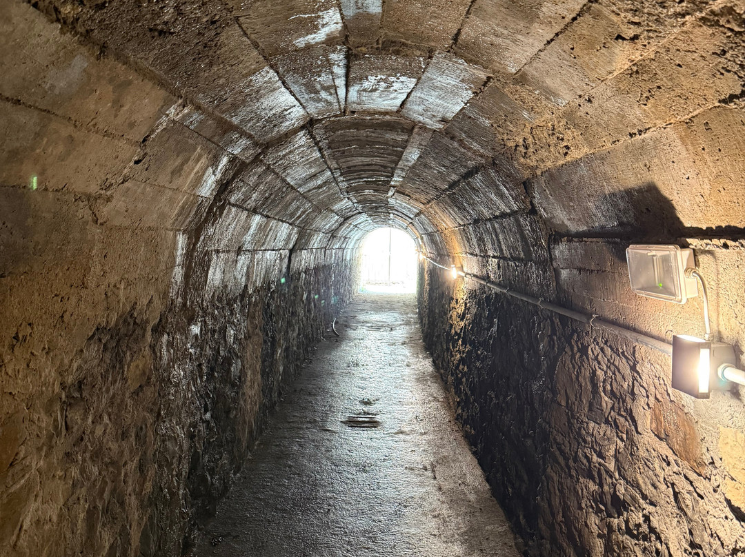 Galleria Ex Ricovero Antiaereo Quintino Sella - Sant'Agostino - Manzoni-拉斯佩齐亚必去景点