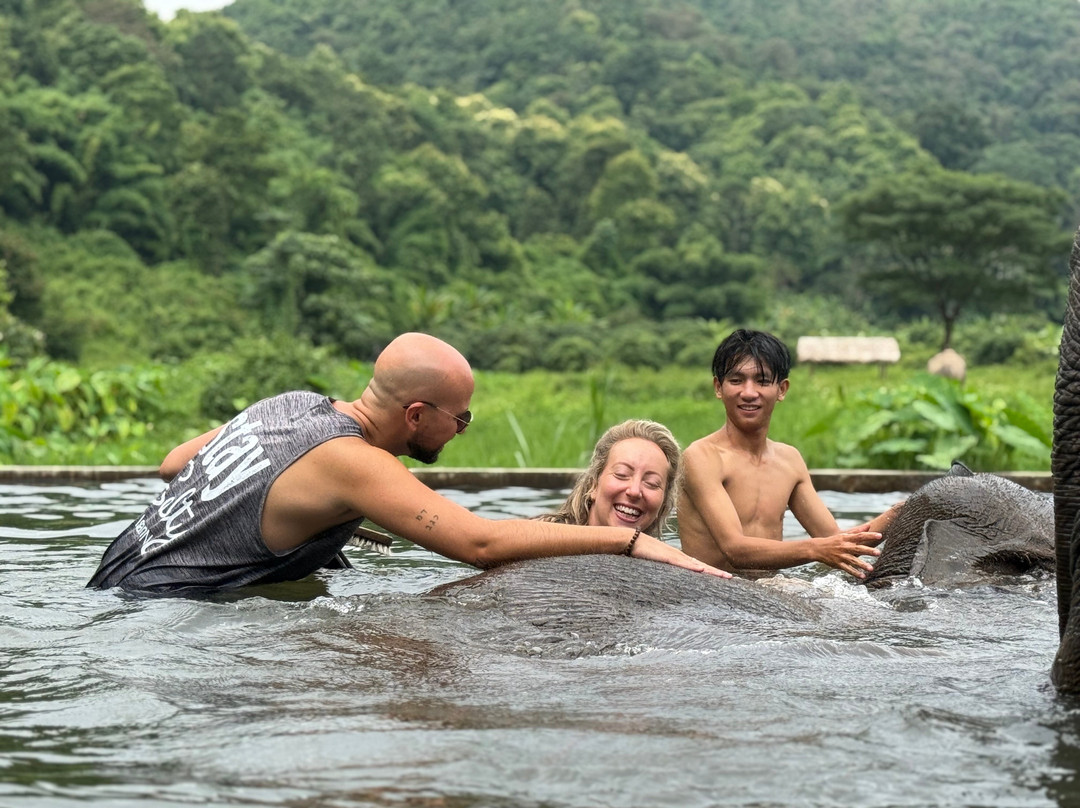 Lanna Kingdom Elephant Sanctuary-清迈必去景点