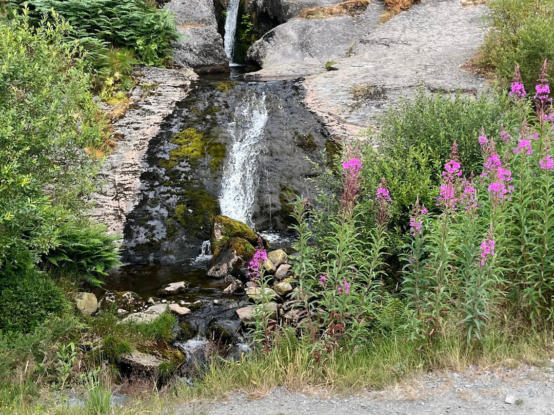 Hafren Forest-Llanidloes必去景点