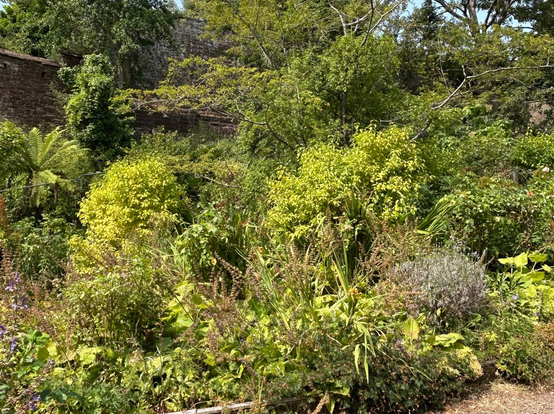 Exeter Castle-埃克塞特必去景点