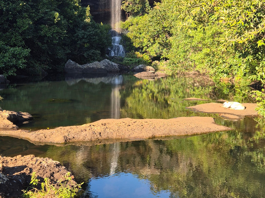 Tamarin Falls-Vacoas-Phoenix必去景点