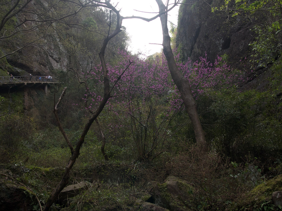 穿岩十九峰-新昌县必去景点