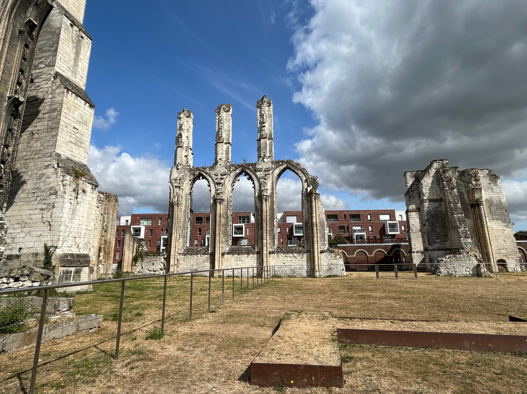 Ruines de l'Abbaye Saint-Bertin-圣奥梅尔必去景点