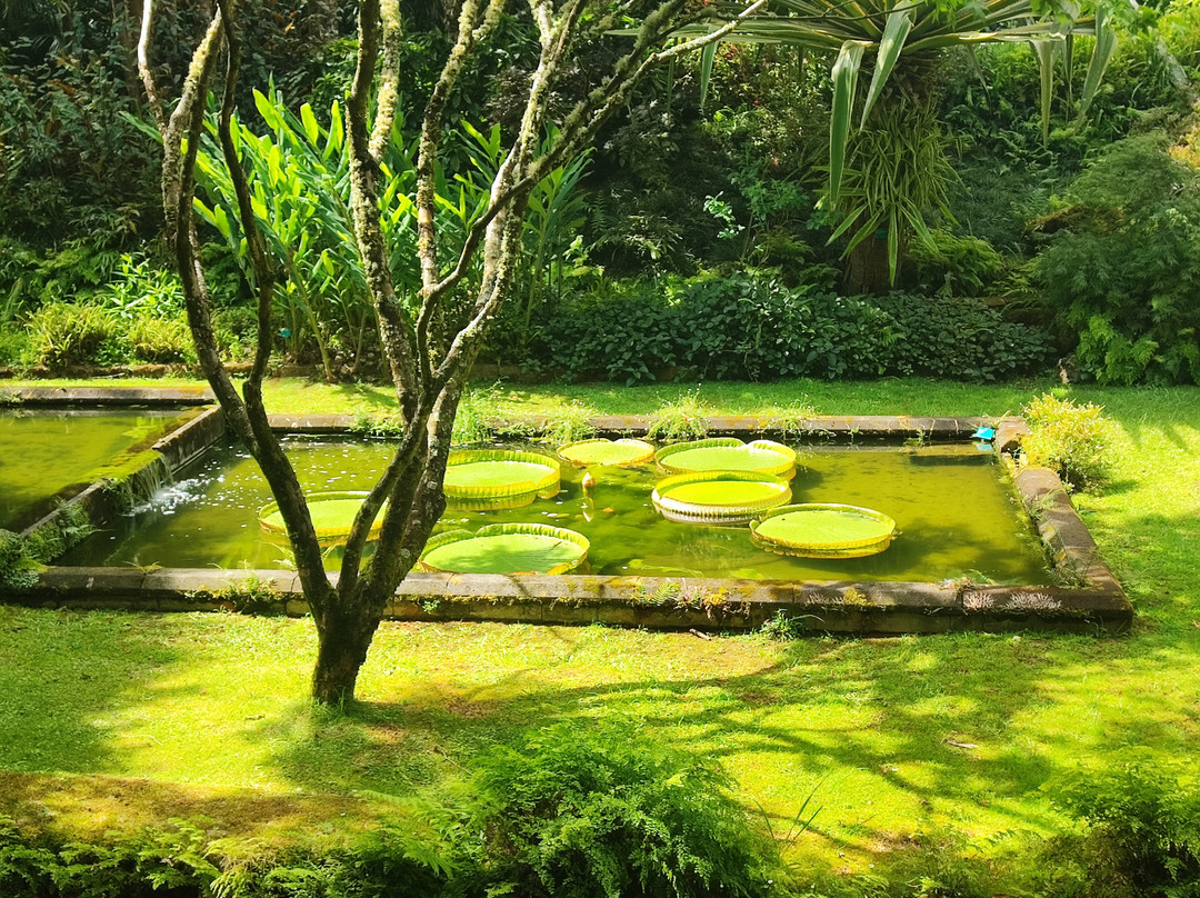 Parque Terra Nostra-富尔纳斯必去景点