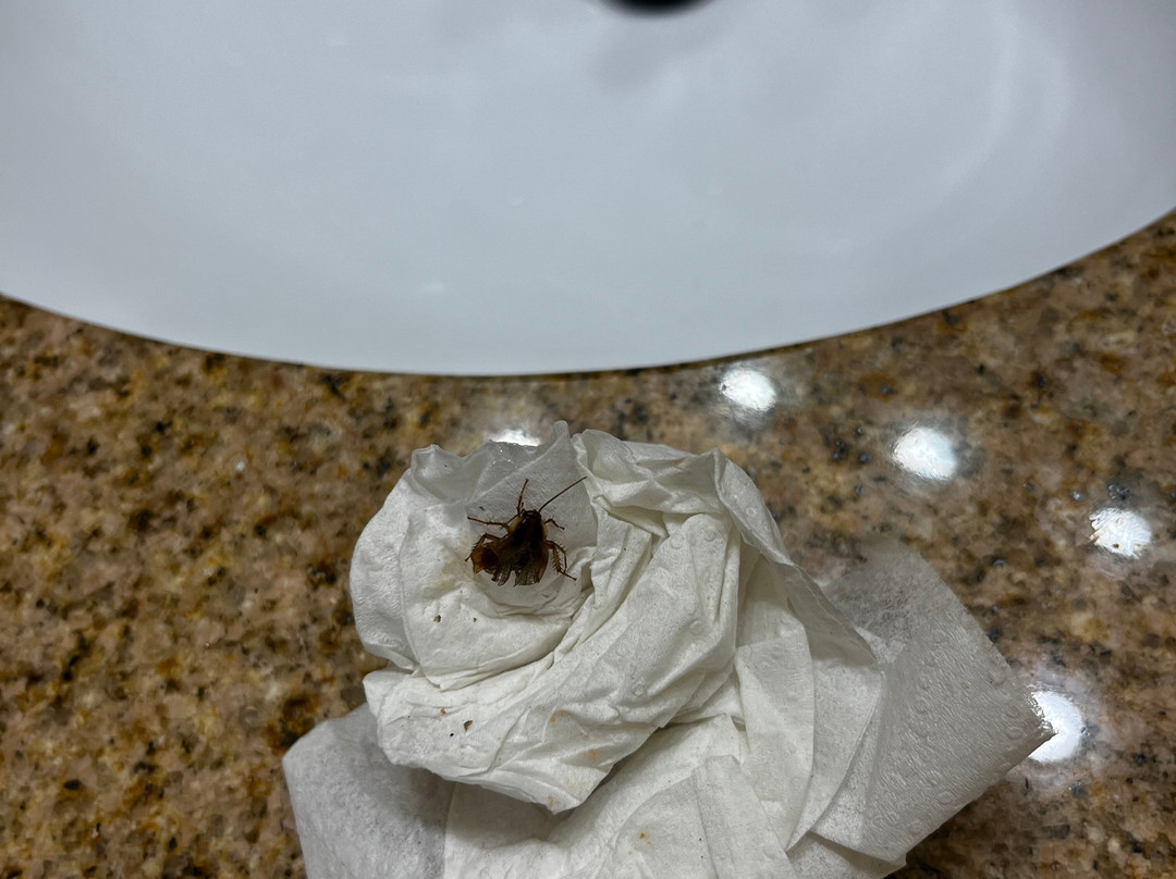 维克斯堡拉昆塔温德姆套房酒店主图