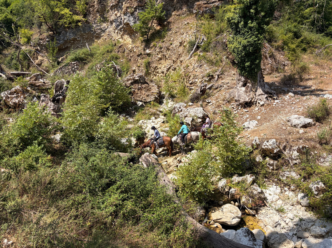 Horse Riding Albania