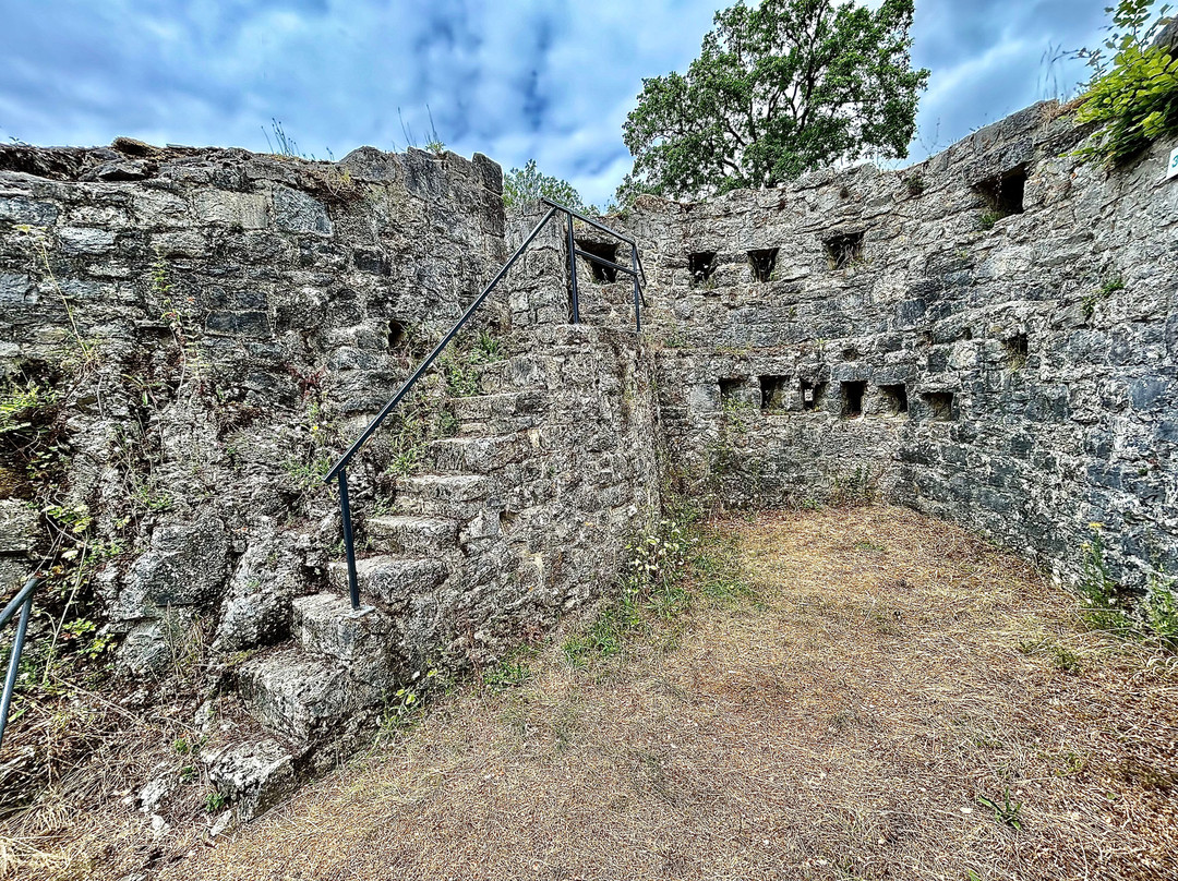 Chateau Fort de Logne