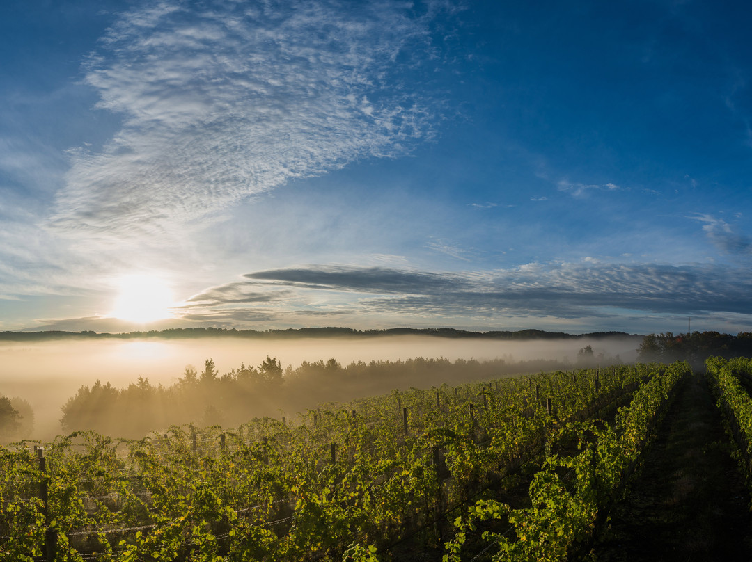 45 North Vineyard & Winery-Lake Leelanau必去景点