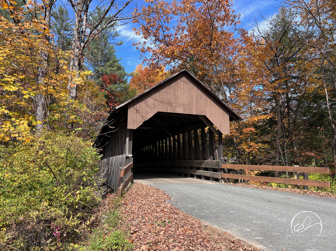 Dingleton Hill Bridge-Cornish必去景点