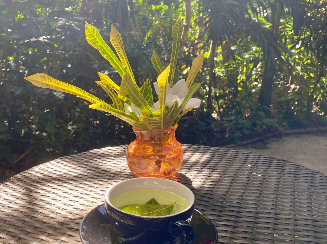 Sigatoka Spa-辛加东卡必去景点