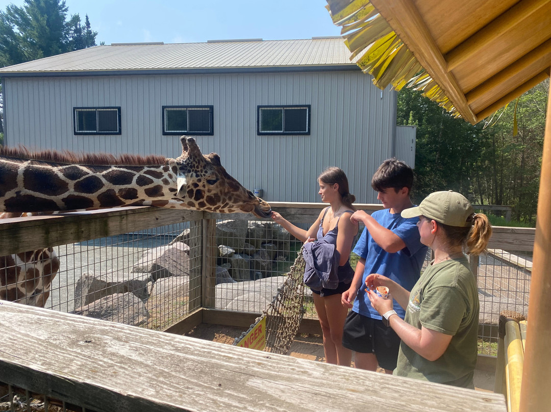 Wildwood Wildlife Park & Nature Center-Minocqua必去景点