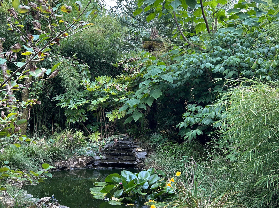 Le Jardin de Planbuisson-Le Buisson-de-Cadouin必去景点