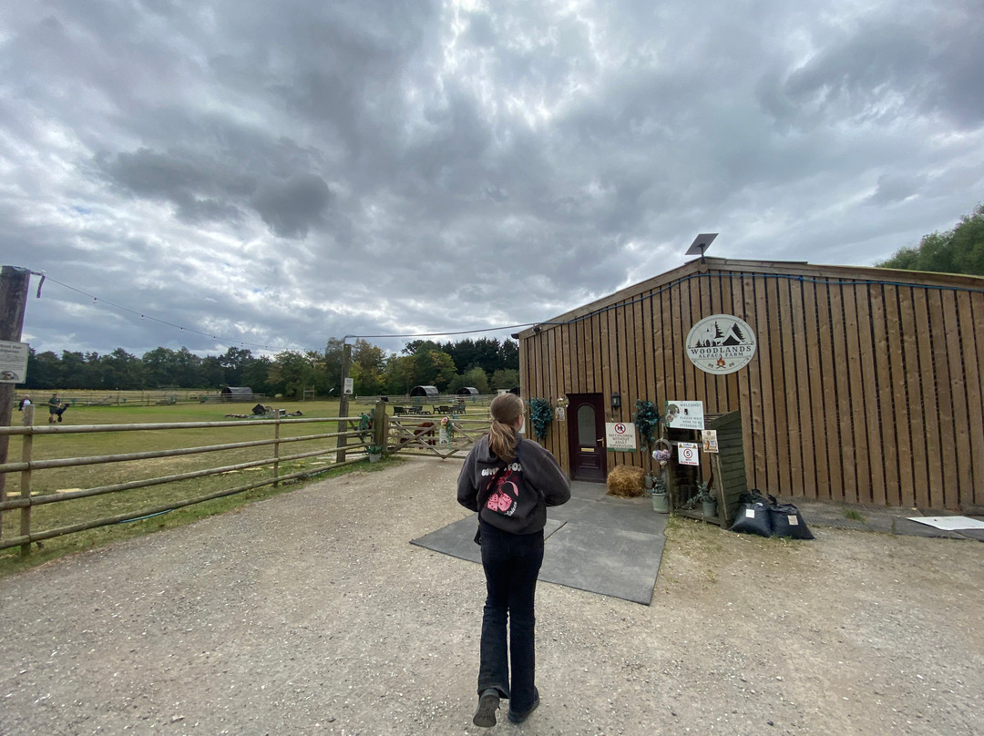 Woodlands Alpaca Farm-沃灵顿必去景点