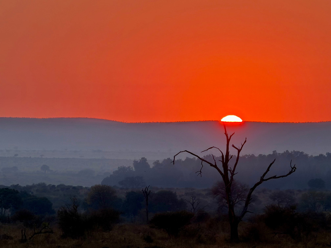 Southern Kruger Safaris-玛洛斯帕克必去景点