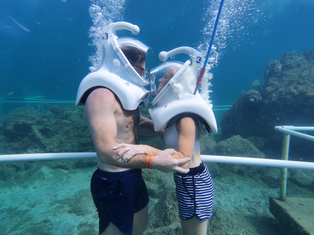 Sea Trek St. Maarten-菲利普斯堡必去景点