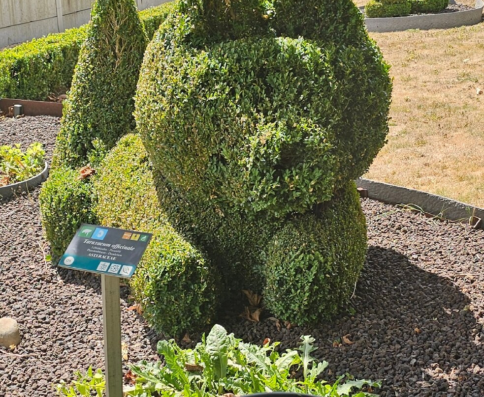 Topiary Park-德贝必去景点