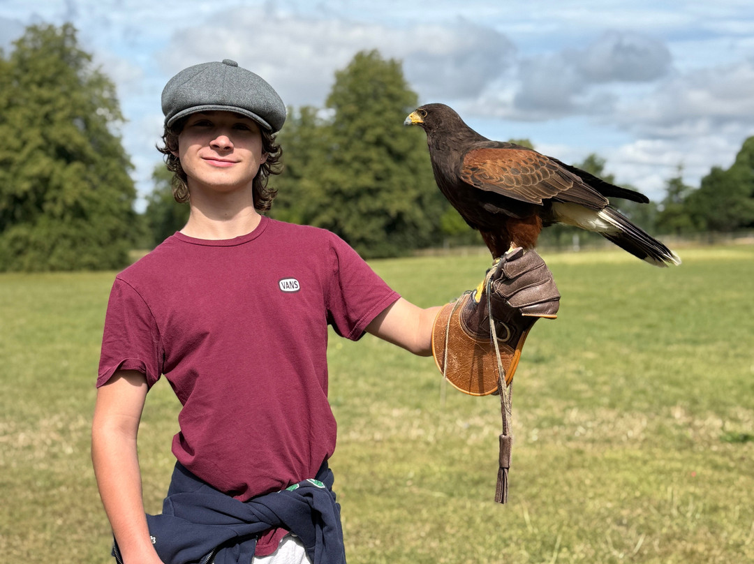 Hawkeye School of Falconry-基尔肯尼必去景点