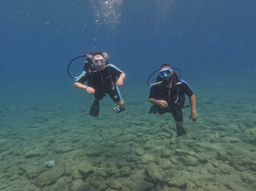 Stay Wet Diving Center-阿希亚贝拉希亚必去景点