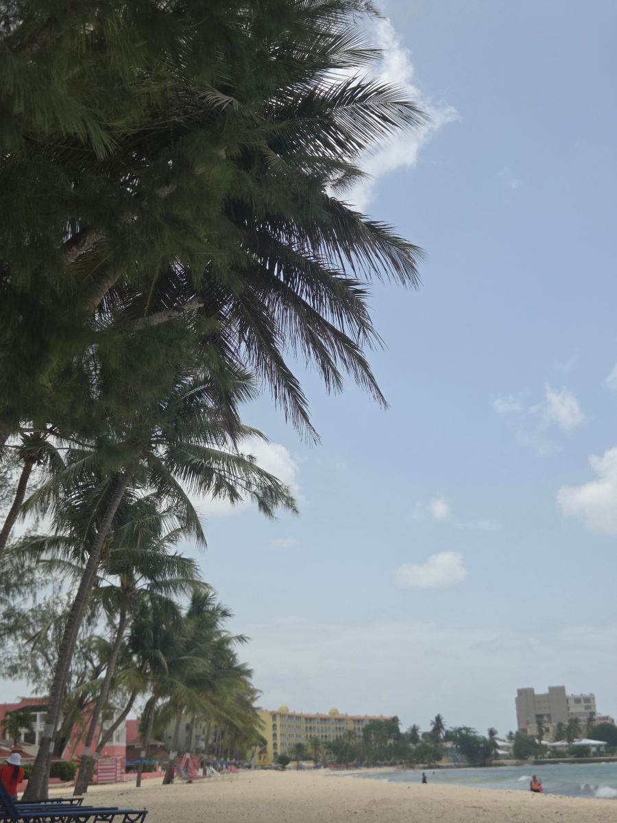 迪维南风海滩度假村-旅行者
