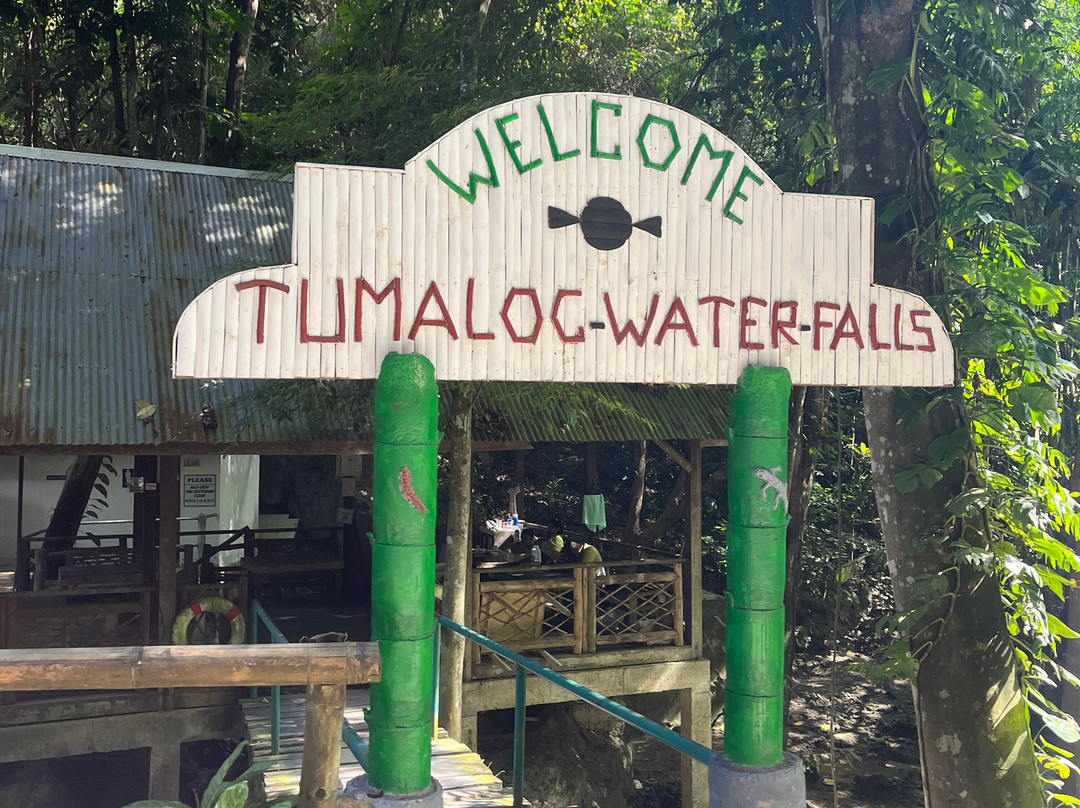 Tumalog瀑布-奥斯洛布必去景点