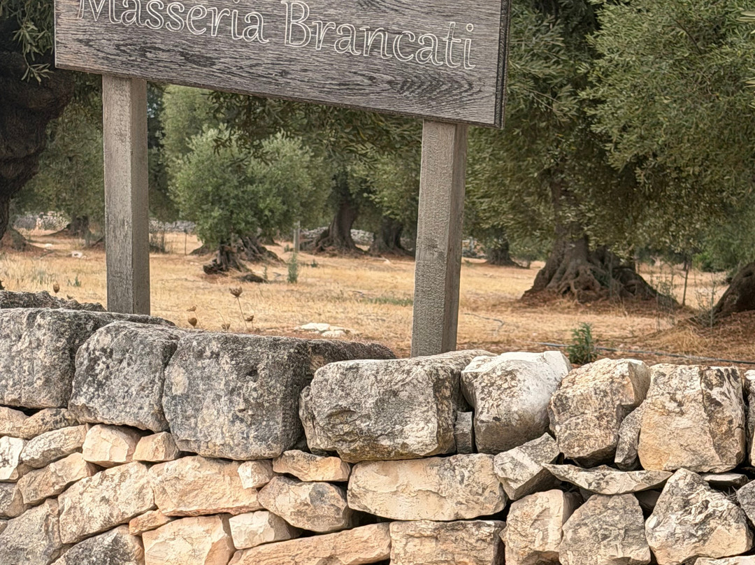 Masseria Brancati主图