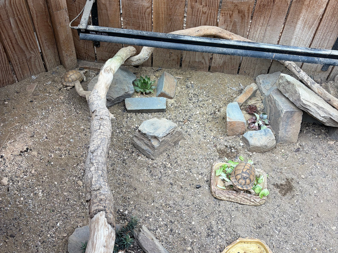Plantasia Tropical Zoo-斯温西必去景点