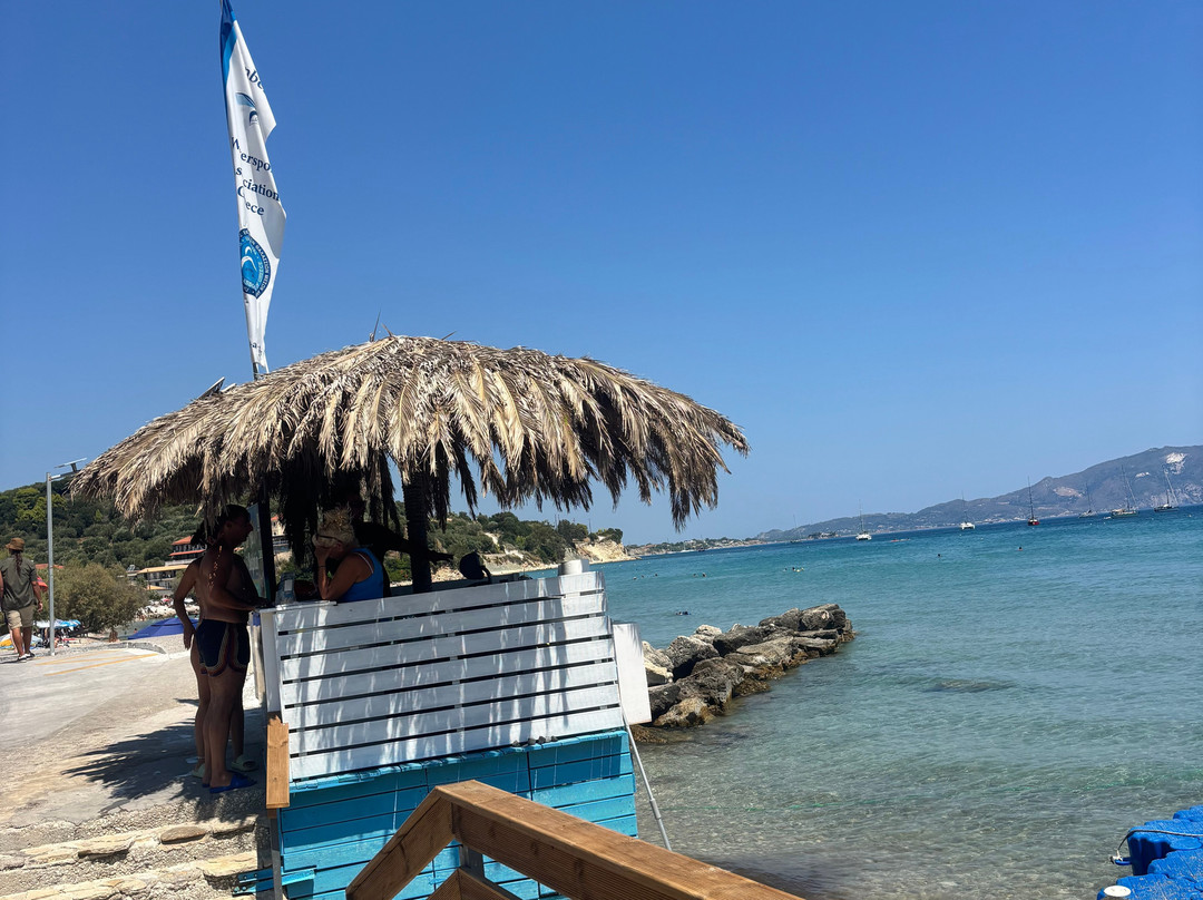 Dolphin Boat Rentals-利姆尼科利必去景点
