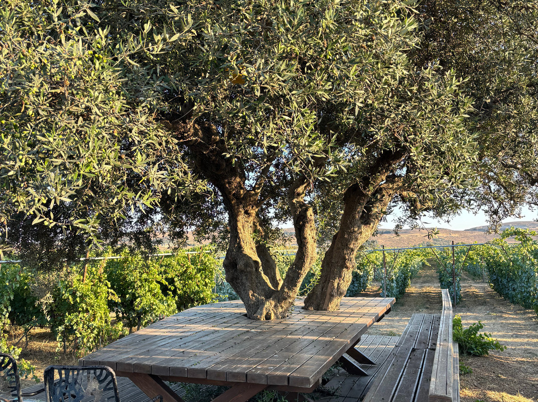 Lyrarakis Winery-伊拉克利翁必去景点