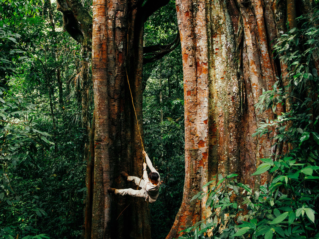Jhony Jungle Trekking-Ketambe必去景点