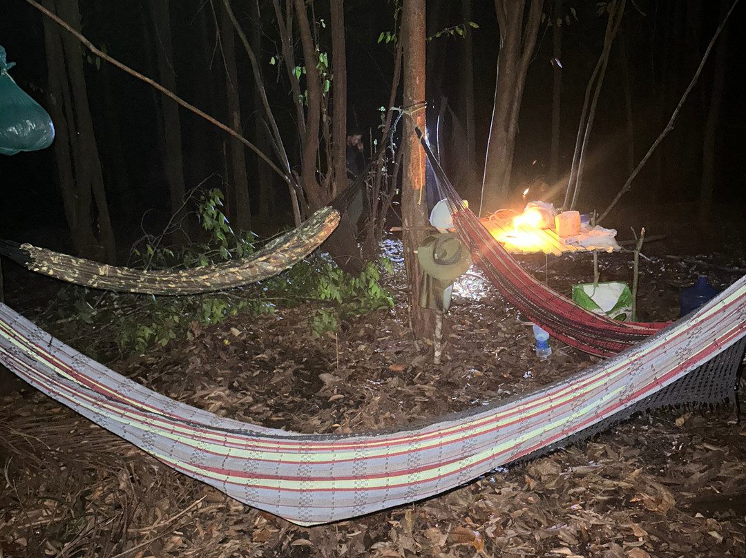 Amazon Rambo Jungle Tours-玛瑙斯必去景点
