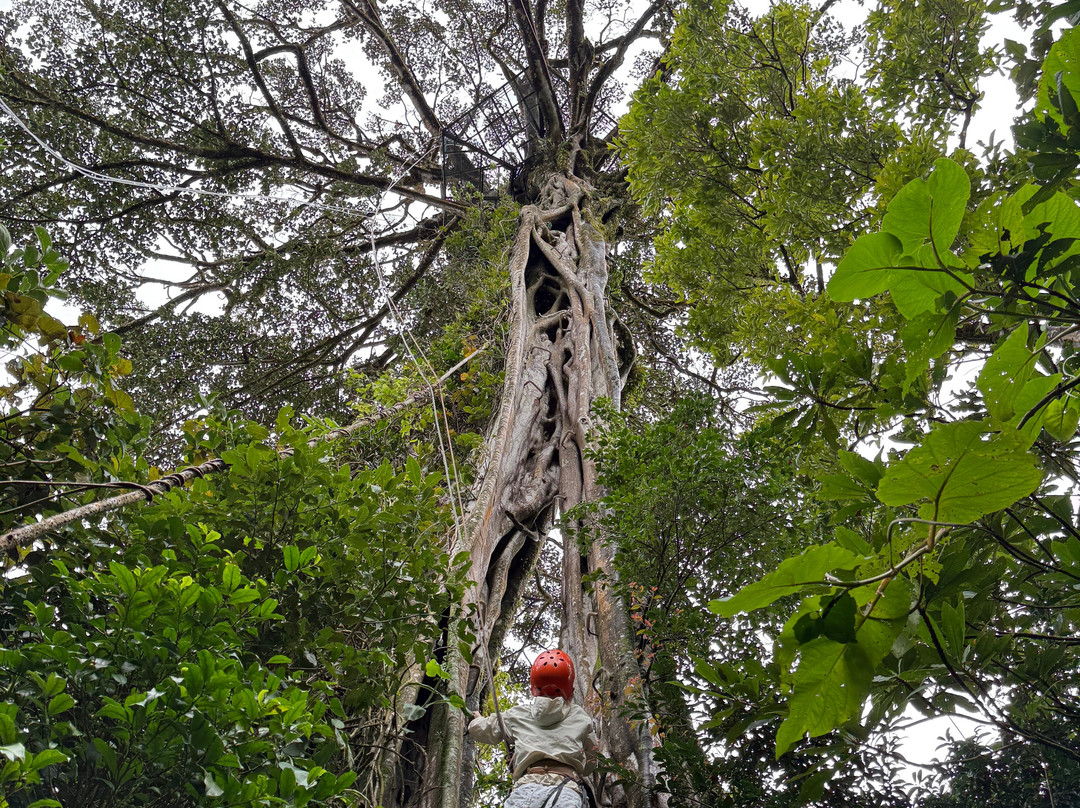 Waking Dreams Costa Rica-圣何塞必去景点